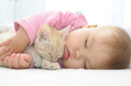 Dziecko i kot, czyli nowy domownik w kocim świecie